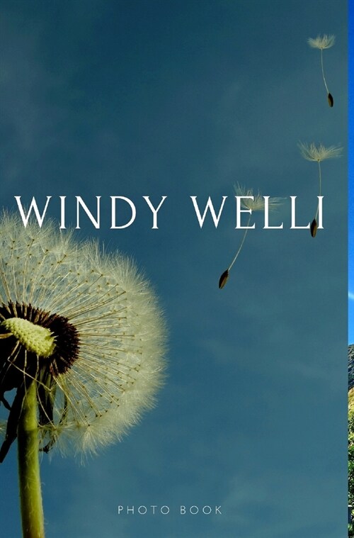 WIndy Welli (Hardcover)