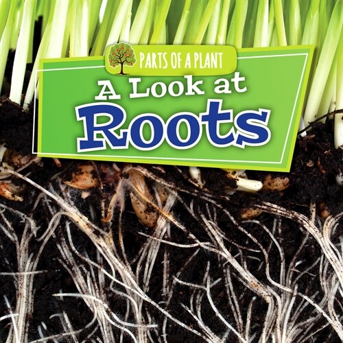 A Look at Roots (Paperback)