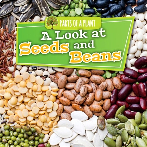 A Look at Seeds and Beans (Paperback)