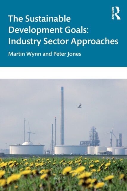 The Sustainable Development Goals : Industry Sector Approaches (Paperback)