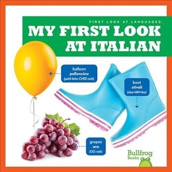 My First Look at Italian (Library Binding)