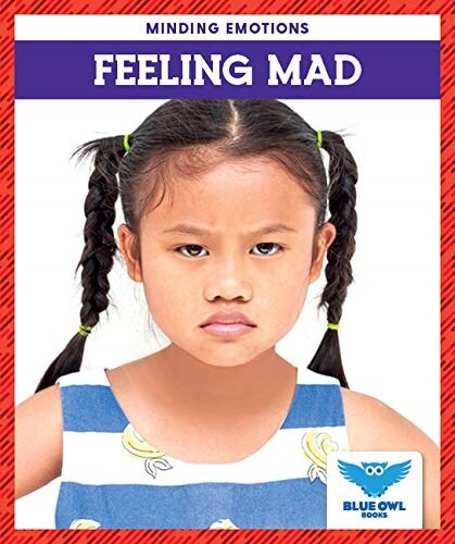 Feeling Mad (Paperback)