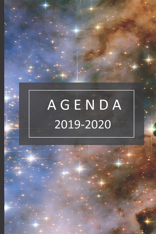 agenda 2019- 2020: agenda 2019-2020 del 1 de julio del 2019 al 31 de diciembre del 2020 ideal para el regreso a clase con 80 hojas planif (Paperback)