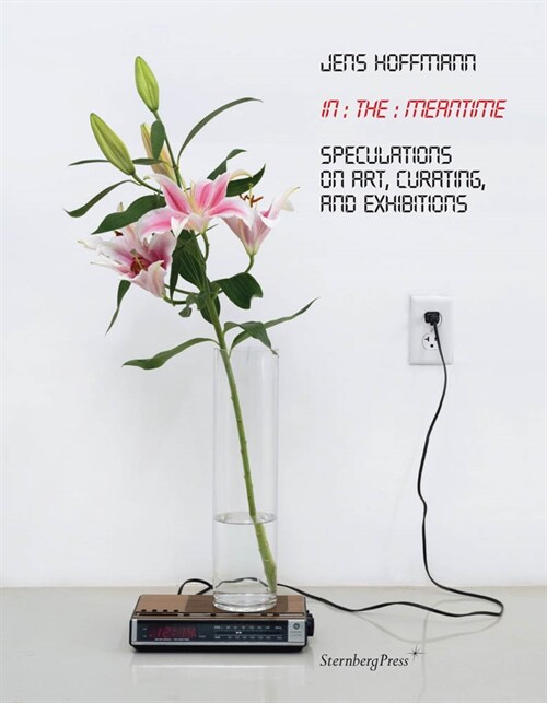 In the Meantime: Speculations on Art, Curating, and Exhibitions (Paperback)