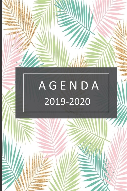 agenda: lindo planificador 2019-2020 del 1 de julio del 2019 al 31 de diciembre del 2020 diario semanal mensual (Paperback)