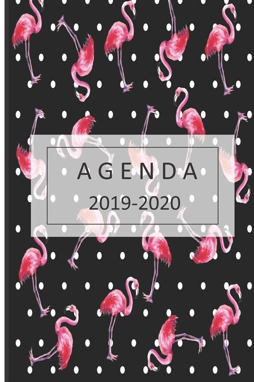 agenda: lindo planificador 2019-2020 del 1 de julio del 2019 al 31 de diciembre del 2020 diario semanal mensual (Paperback)