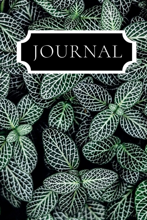 Journal: Beautiful journal/Diary with a picture of a house plant with green and white leaves. This book will be a joy to write (Paperback)