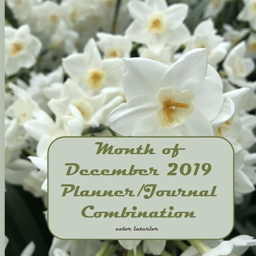 Month of December 2019 Planner/Journal Combination (Paperback)