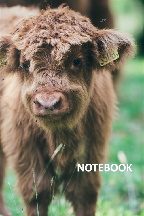 Notebook: Aberdeen Angus Terrific Composition Book Daily Journal Notepad Diary Student for Highland Cow Farmers (Paperback)
