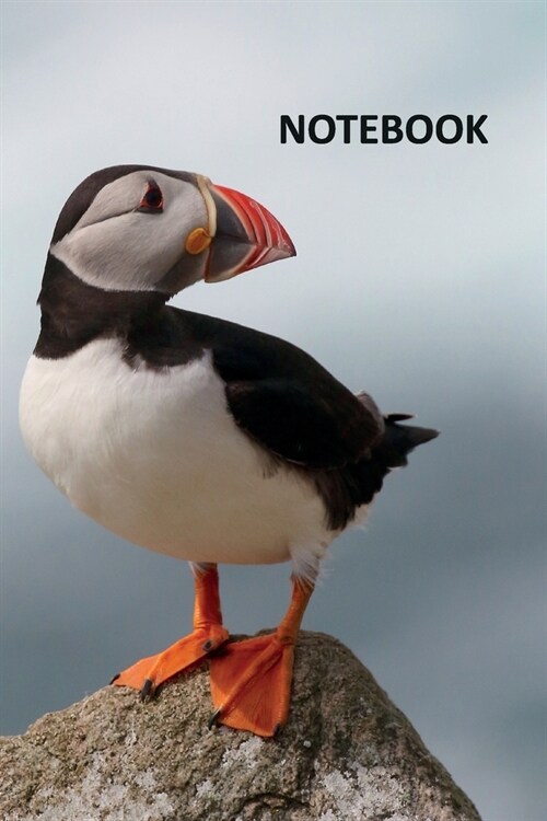 Notebook: Atlantic Puffin Elegant Composition Book Daily Journal Notepad Diary Student for seabird fans (Paperback)