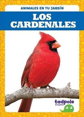 Los Cardenales (Cardinals) (Library Binding)