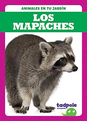 Los Mapaches (Raccoons) (Paperback)