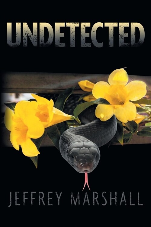 Undetected (Paperback)