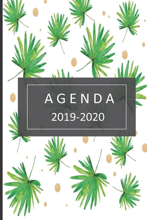 agenda 2019- 2020: lindo planificador 2019-2020 del 1 de julio del 2019 al 31 de diciembre del 2020 diario semanal mensual (Paperback)