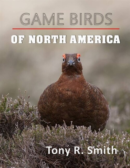 Game Birds of North America: A Complete Guide ( Includes Wild Game Recipes) (Paperback)