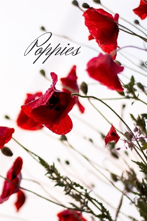 Poppies: Beautiful Journal for writing in, drawing in or dotting down your thoughts. Will make a great gift for women and girls (Paperback)