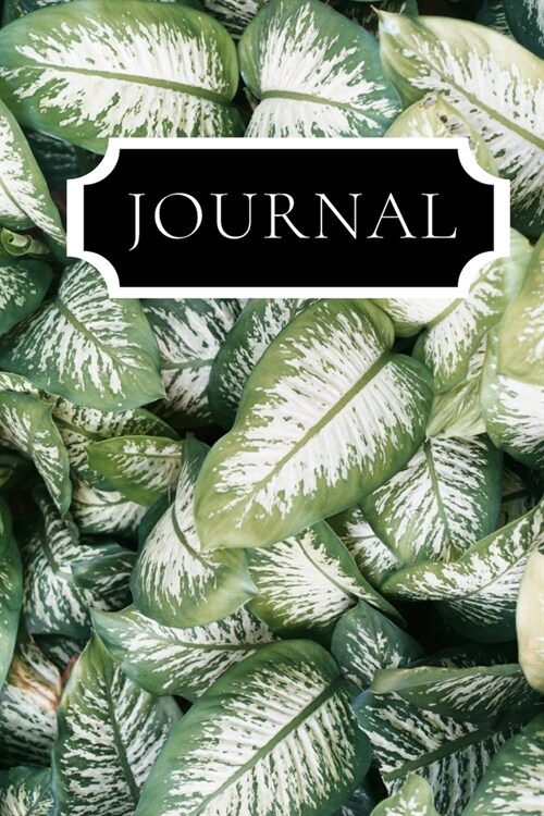 Journal: Lovely image of green and white leaves. This notebook/Dairy will be a joy to write in or draw in. Lovely gift for wome (Paperback)