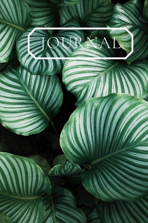 Journal: Beautiful botanical picture on a Notebook for writing in. This book will be a joy for women, gardeners and houseplant (Paperback)