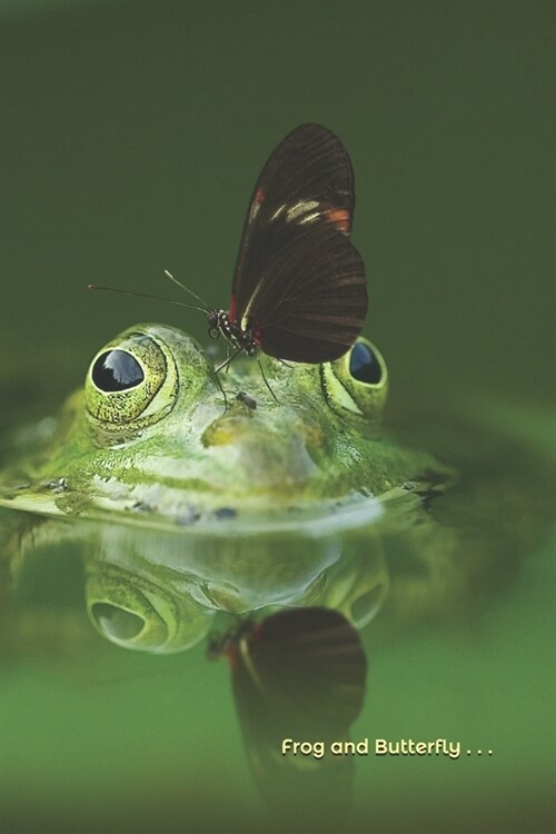 Journal: Frog and Butterfly (Paperback)