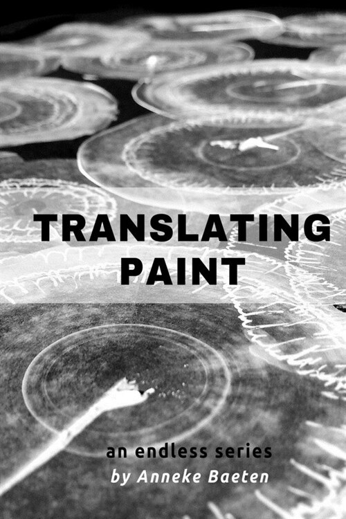 Translating Paint: an endless series (Paperback)