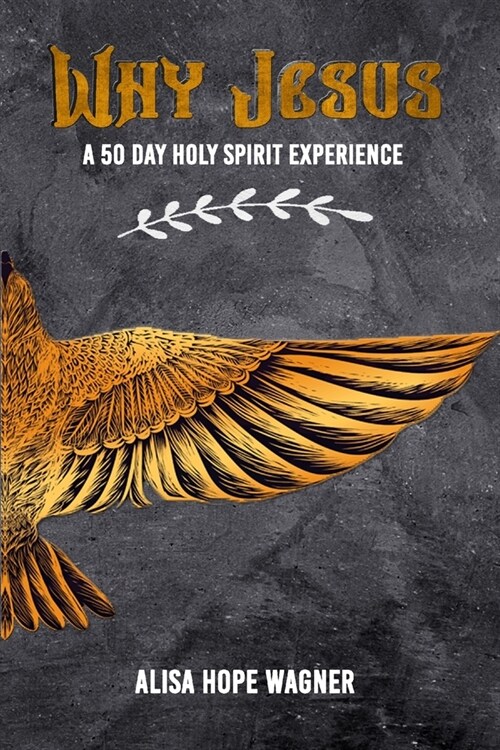 Why Jesus: A 50 Day Holy Spirit Experience (Paperback)