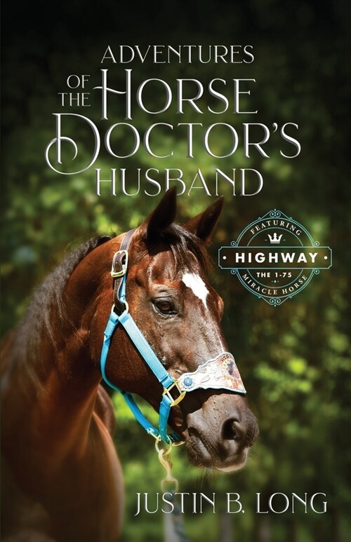 Adventures of the Horse Doctors Husband (Paperback)