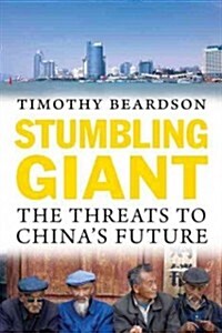 Stumbling Giant: The Threats to Chinas Future (Hardcover)