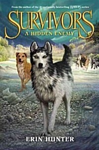 A Hidden Enemy (Hardcover)