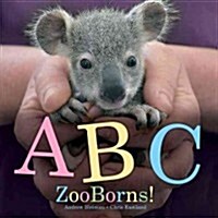 ABC Zooborns! (Board Books)