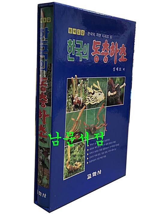 [중고] 한국의 동충하초