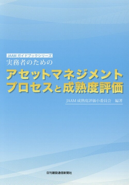 實務者のためのアセットマネジメントプロセスと成熟度評價