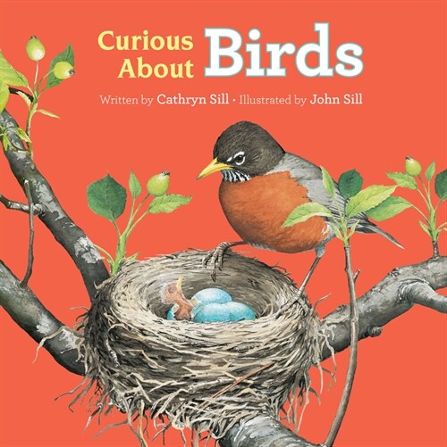 Curious about Birds (Board Books)