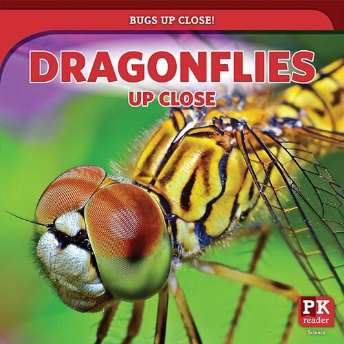 Dragonflies Up Close (Paperback)