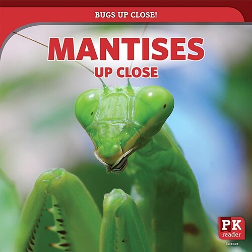 Mantises Up Close (Paperback)