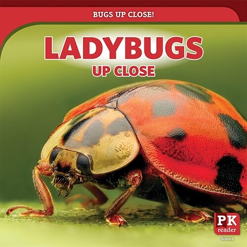 Ladybugs Up Close (Paperback)