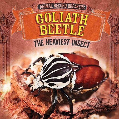 Goliath Beetle: The Heaviest Insect (Paperback)