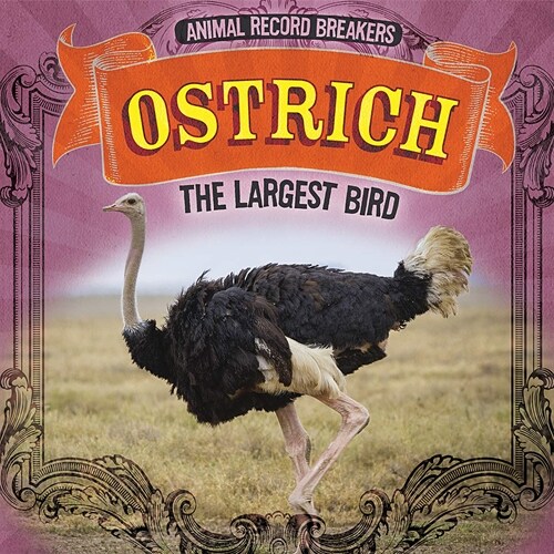 Ostrich: The Largest Bird (Paperback)