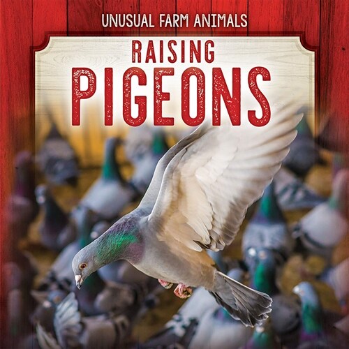 Raising Pigeons (Paperback)