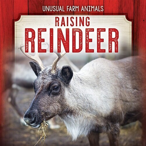 Raising Reindeer (Paperback)