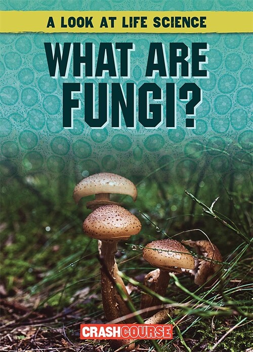What Are Fungi? (Library Binding)