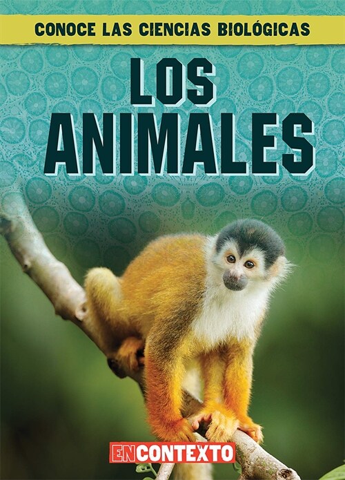 Los Animales (What Are Animals?) (Library Binding)