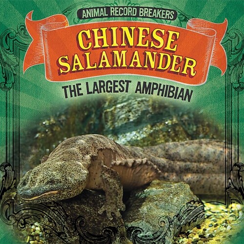 Chinese Salamander: The Largest Amphibian (Library Binding)