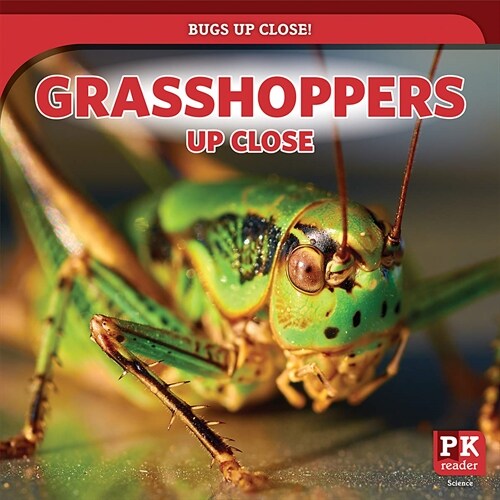 Grasshoppers Up Close (Library Binding)