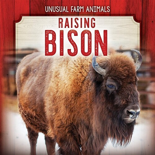 Raising Bison (Library Binding)