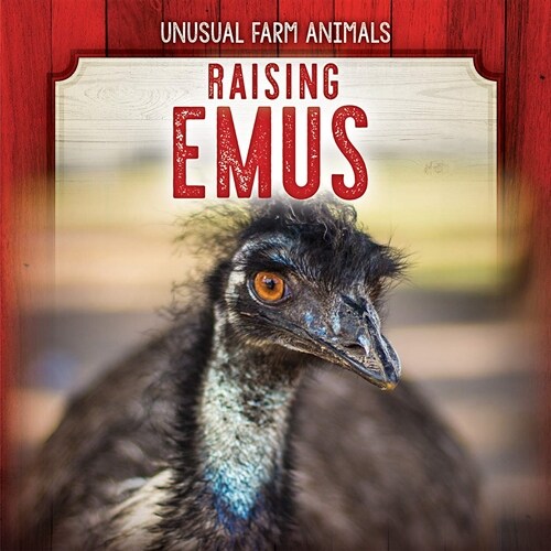Raising Emus (Library Binding)