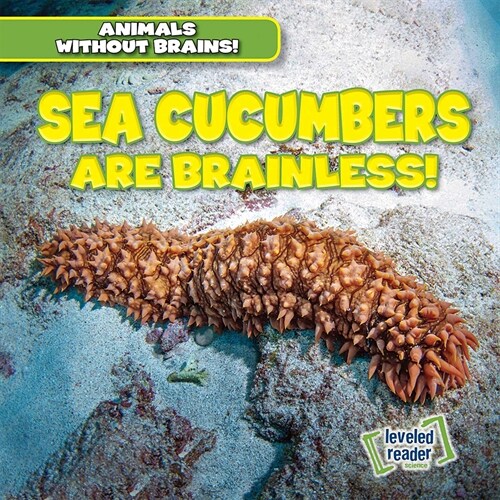 Sea Cucumbers Are Brainless! (Paperback)