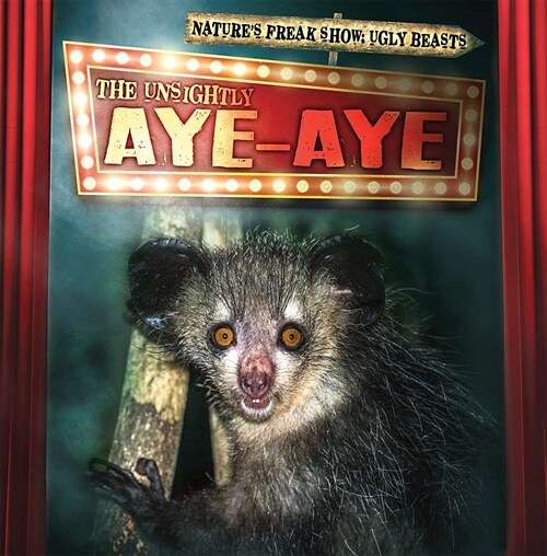 The Unsightly Aye-aye (Paperback)