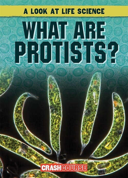 What Are Protists? (Paperback)