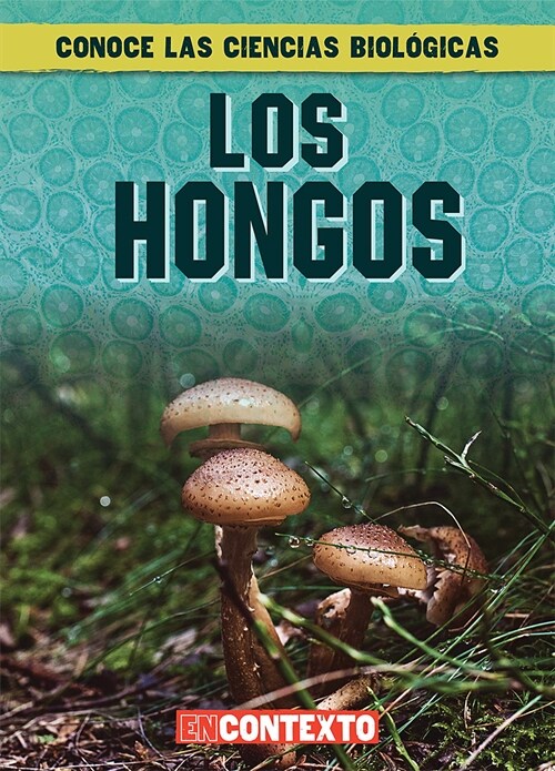 Los Hongos (What Are Fungi?) (Paperback)