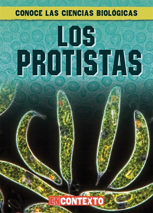 Los Protistas (What Are Protists?) (Paperback)
